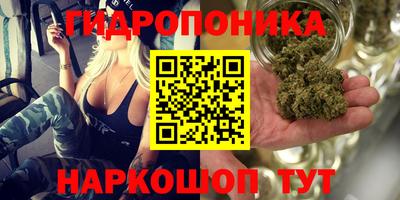 стафф Лесосибирск