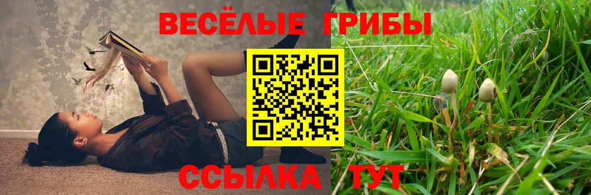 Псилоцибиновые грибы Psilocybine cubensis  Псилоцибиновые грибы мицелий  Вход с VPN  Электрогорск 